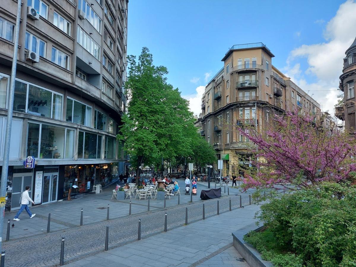 Lotta Apartment بلغراد المظهر الخارجي الصورة